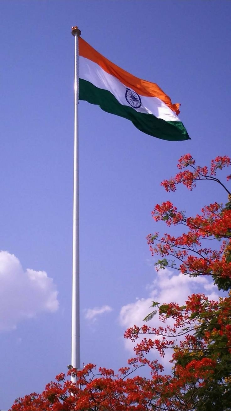 ambedkar tiranga dp ambedkar tiranga dp
