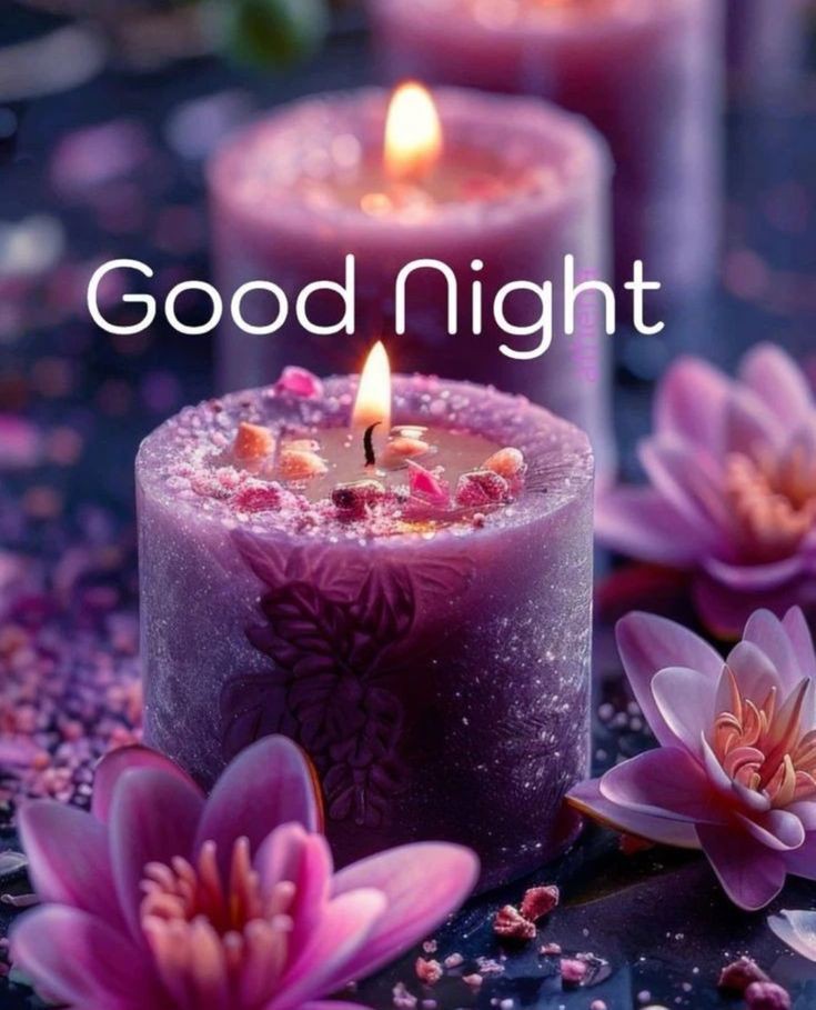 animated beautiful good night images