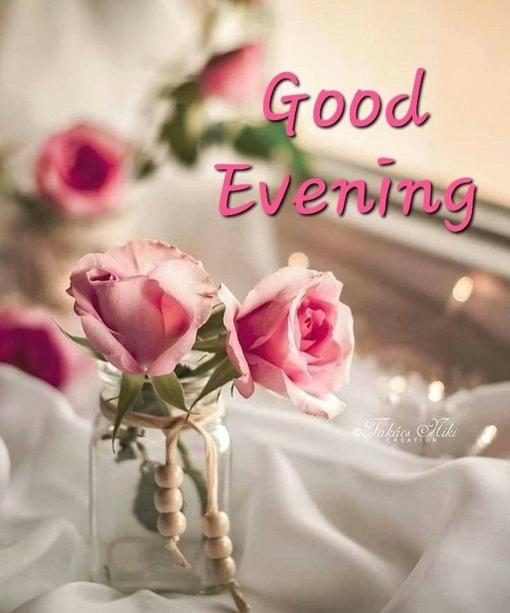 animated have a good evening images animated have a good evening images