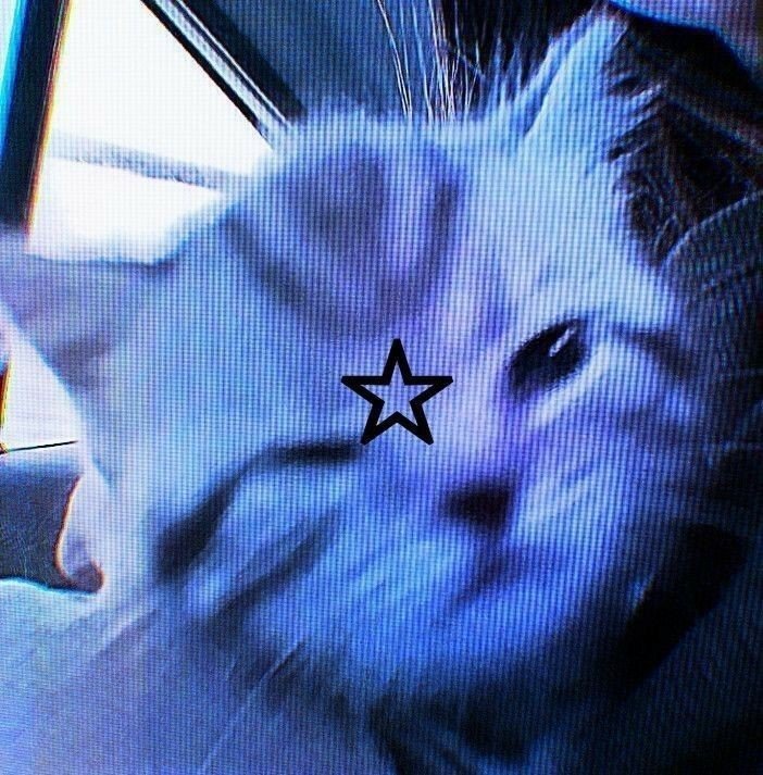 anime tiktok pfp boy anime tiktok pfp boy