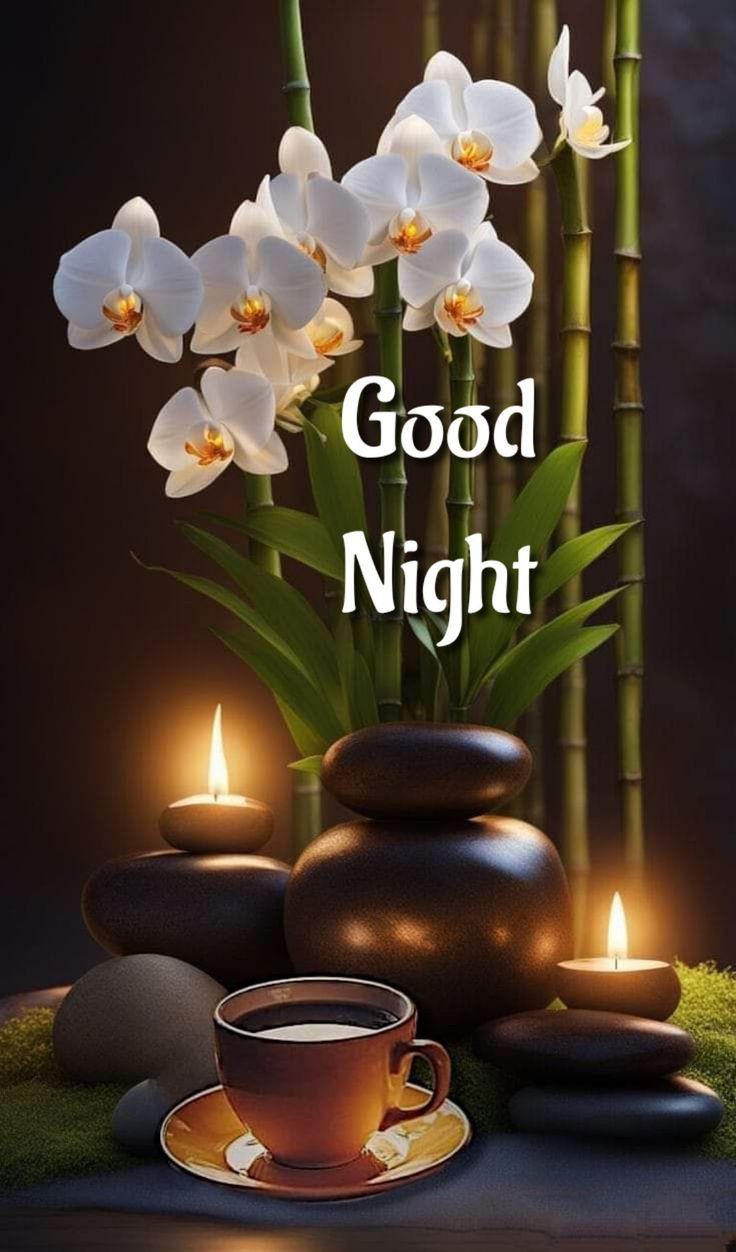 baby good night photo