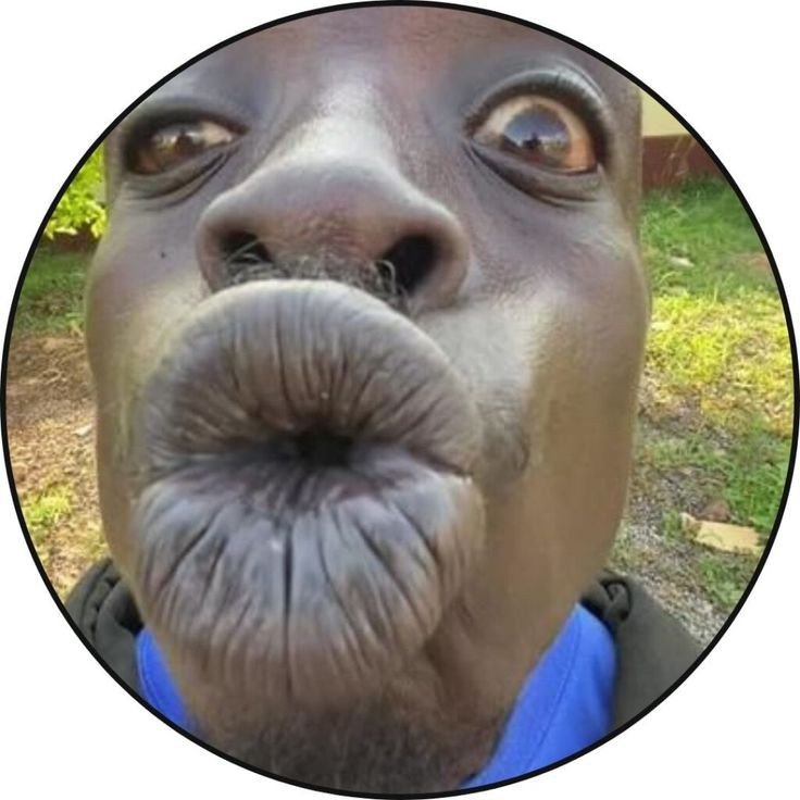 batman meme pfp batman meme pfp