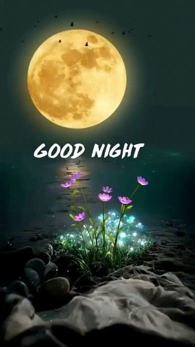 beautiful good night bed images