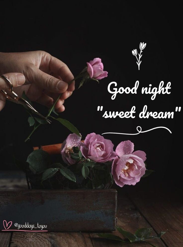 beautiful good night blessings images gif