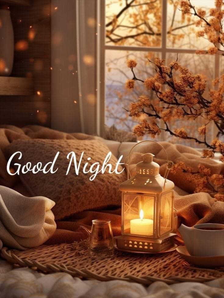 beautiful good night photo love