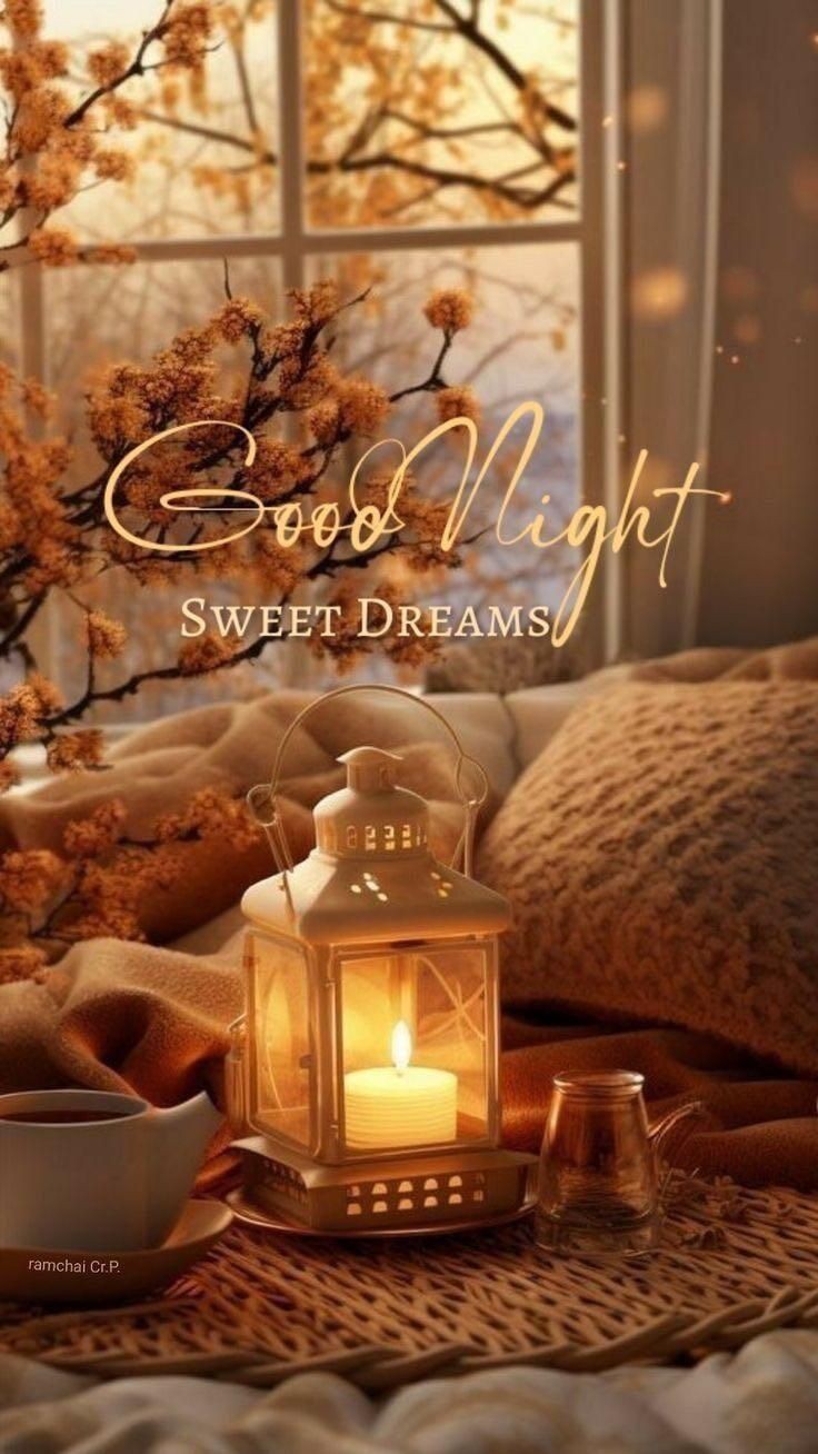beautiful good night photo