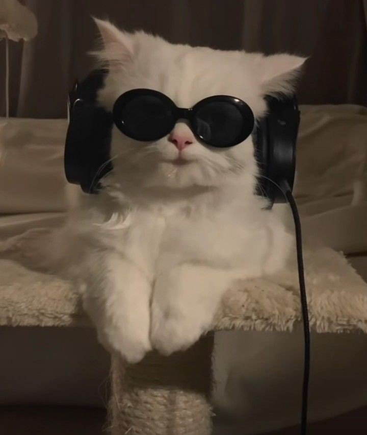 black cute pfp black cute pfp