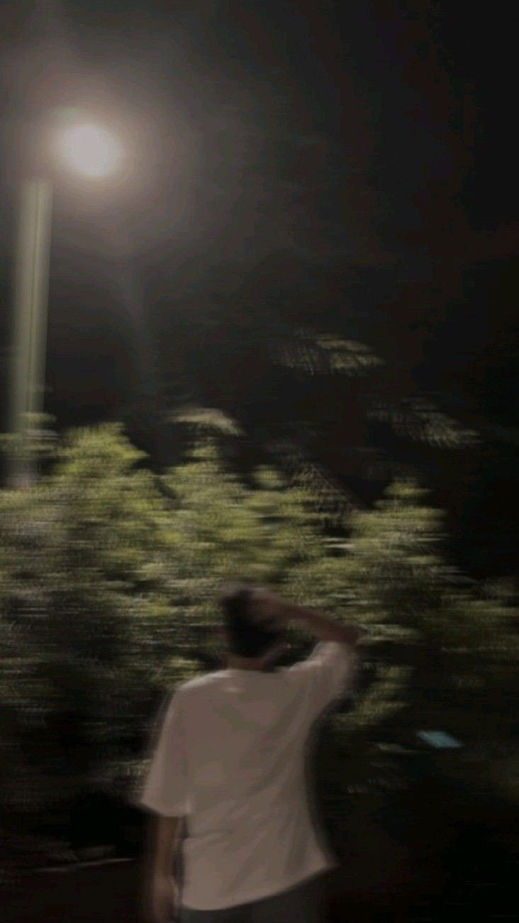 butterfly aesthetic dp butterfly aesthetic dp