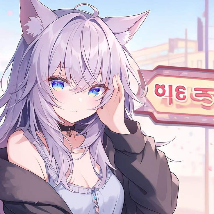 cat anime pfp cat anime pfp