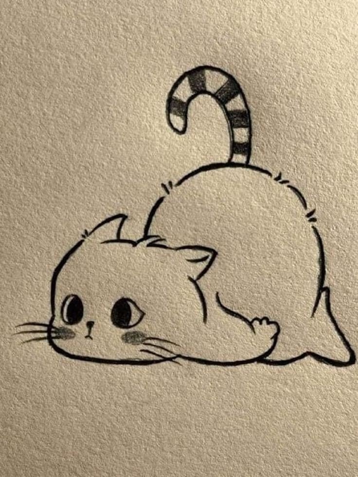 cat pfp aesthetic matching cat pfp aesthetic matching