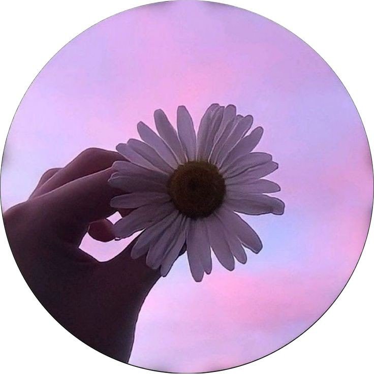 cool instagram pfp for boys cool instagram pfp for boys