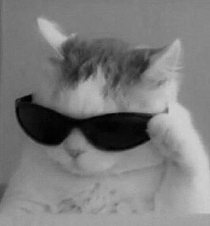 cute aesthetic pfp cute aesthetic pfp