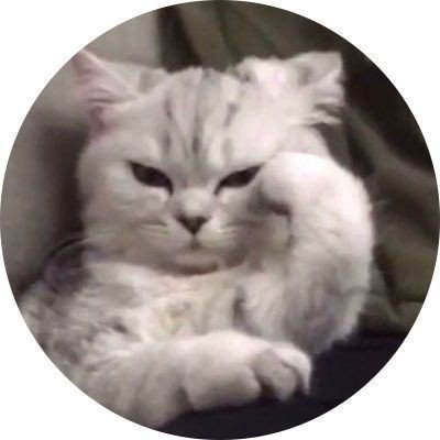 cute pfp cartoon cute pfp cartoon