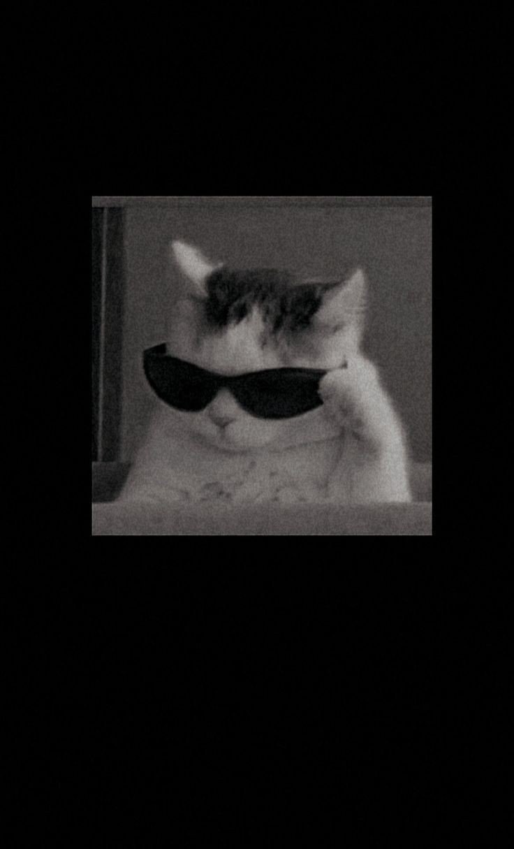 discord black pfp gif discord black pfp gif