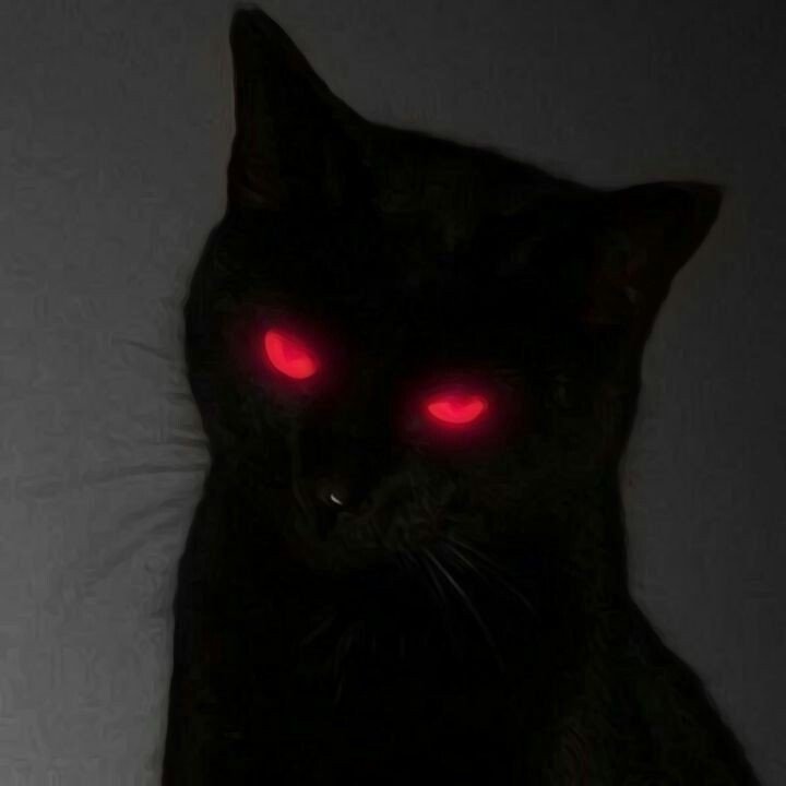 discord cool pfp discord cool pfp
