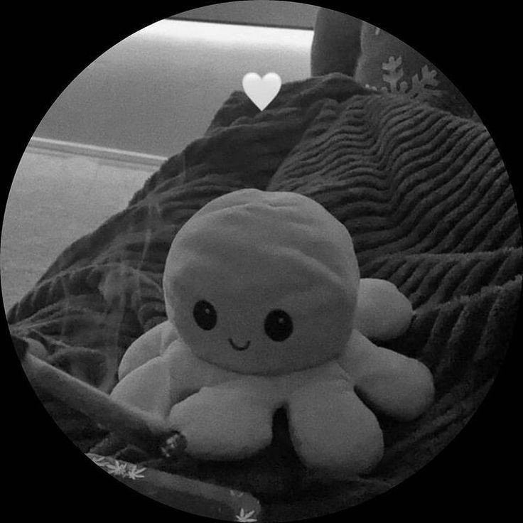 emu otori cute pfp emu otori cute pfp