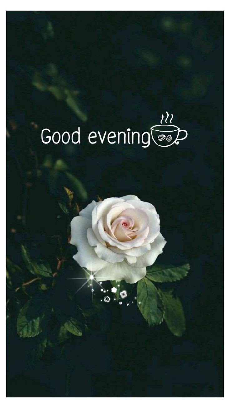 good evening images and messages good evening images and messages