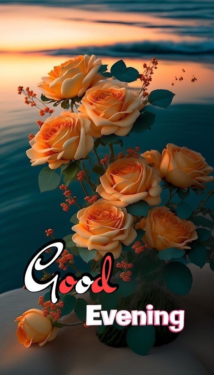 good evening images cat good evening images cat