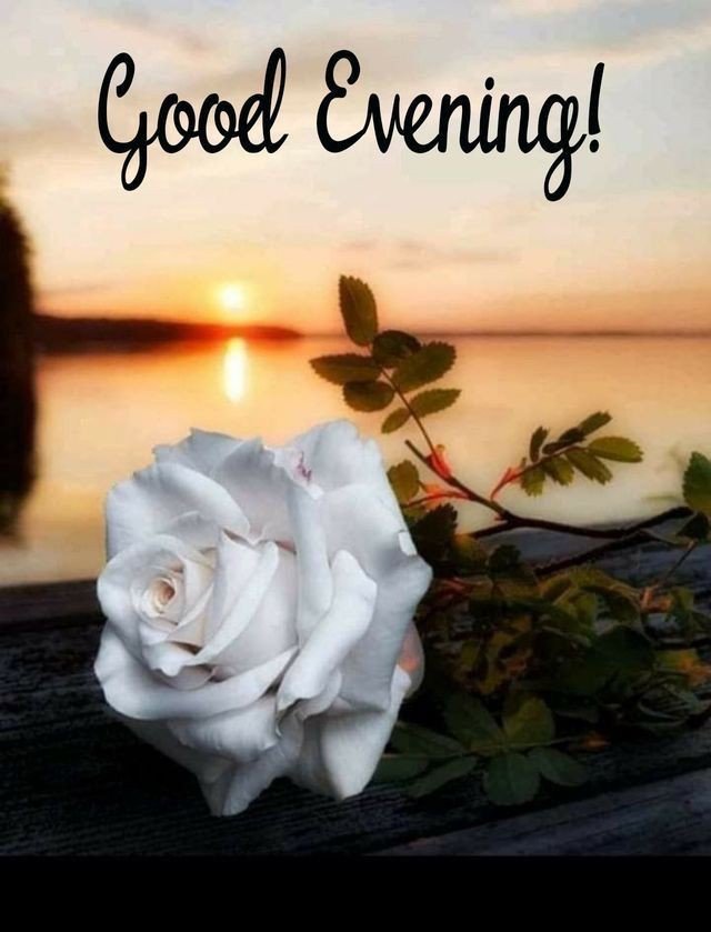 good evening images download for whatsapp good evening images download for whatsapp