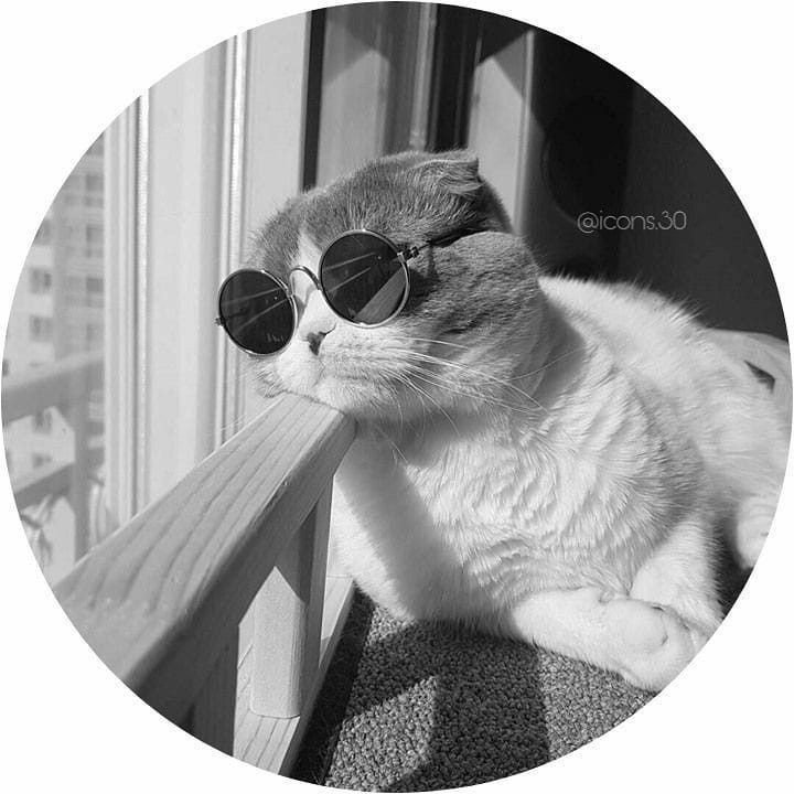 good instagram pfp good instagram pfp