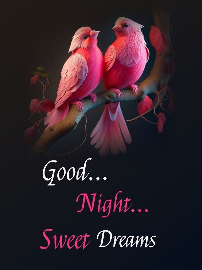 good night images cute