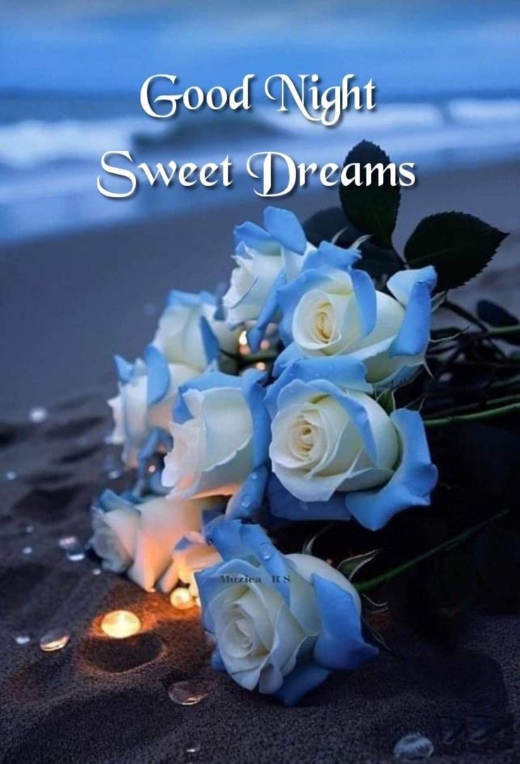good night images cute cartoon
