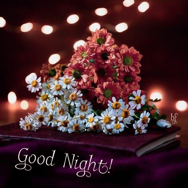 good night images cute girl