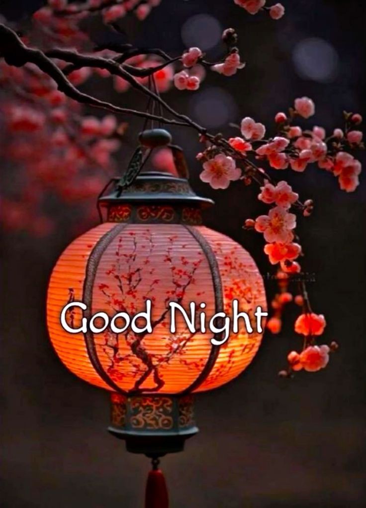 good night photo bhejiye