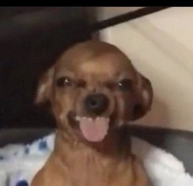 goofy ahh pictures ai goofy ahh pictures ai