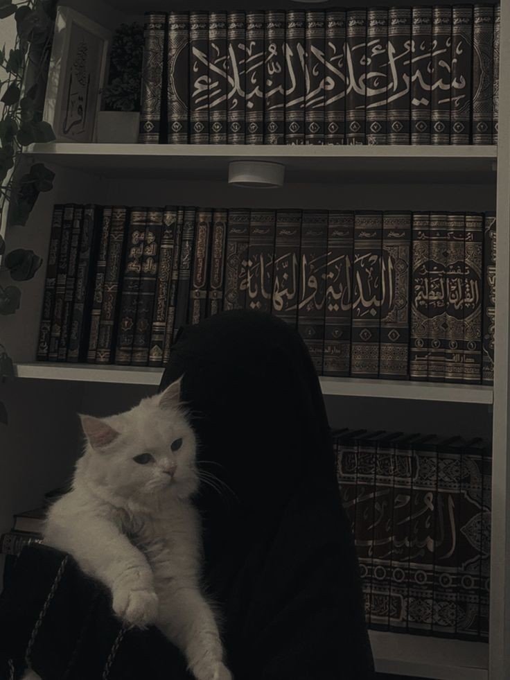 hijab dp hijab dp