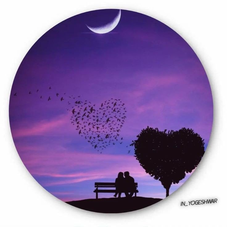 nice attractive whatsapp dp nice attractive whatsapp dp