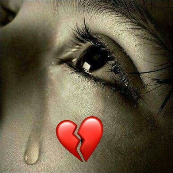 no love only single dp girl attitude no love only single dp girl attitude
