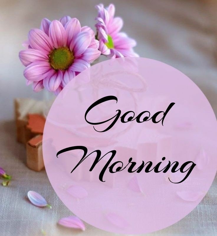 sunday good morning flower images sunday good morning flower images