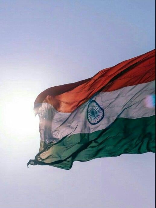 tiranga colour trading dp tiranga colour trading dp