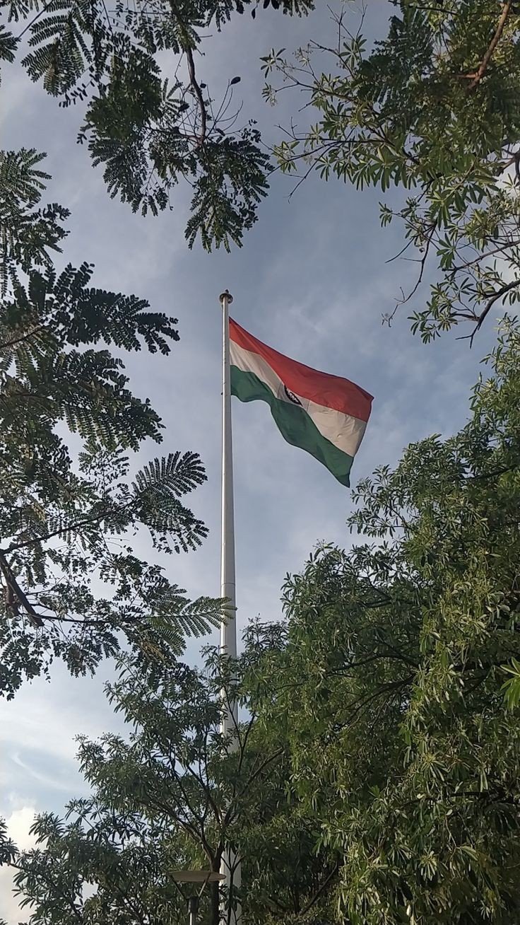 tiranga colour trading dp tiranga colour trading dp