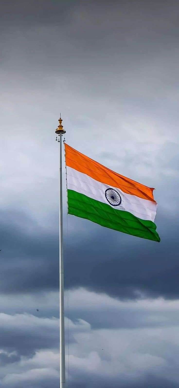 tiranga dp a name tiranga dp a name