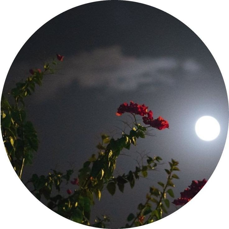 whatsapp dp couple whatsapp dp couple